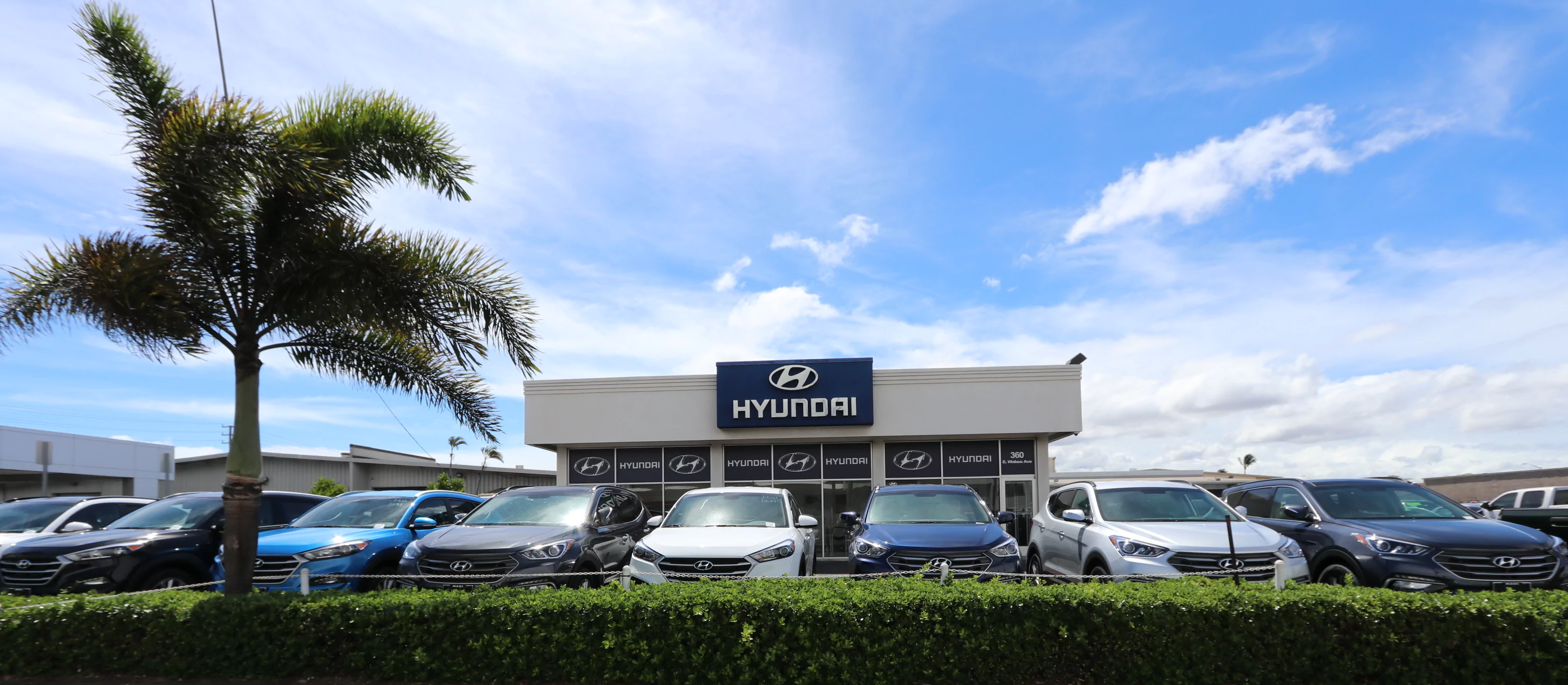 Maui Hyundai