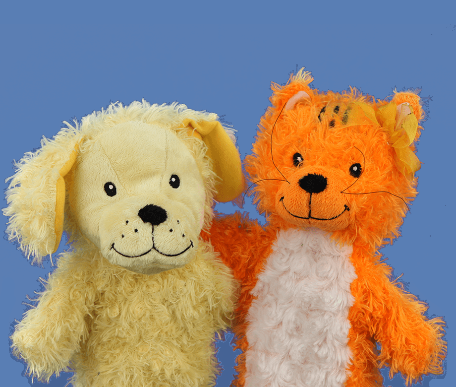 Primrose School of Tampa Palms